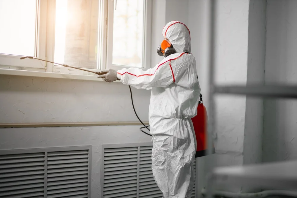 Professional mold remediation services in Paisley, FL